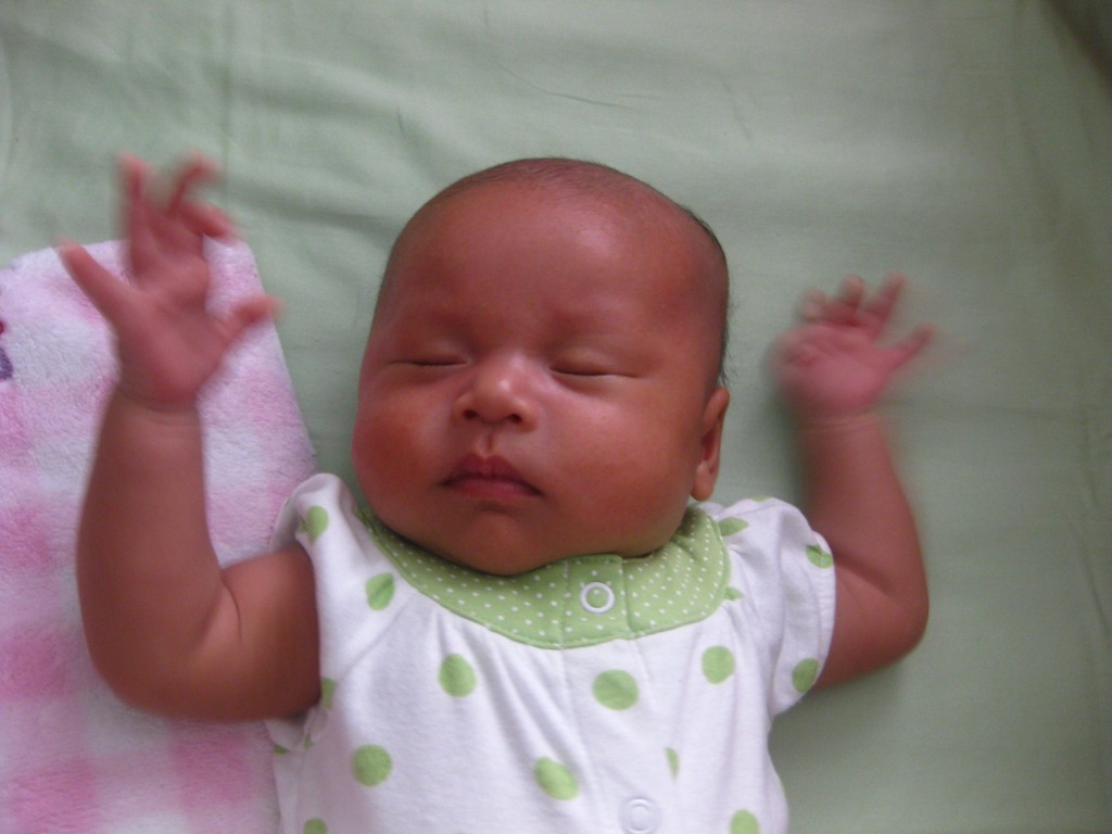 IMG_2029 IMG_2029