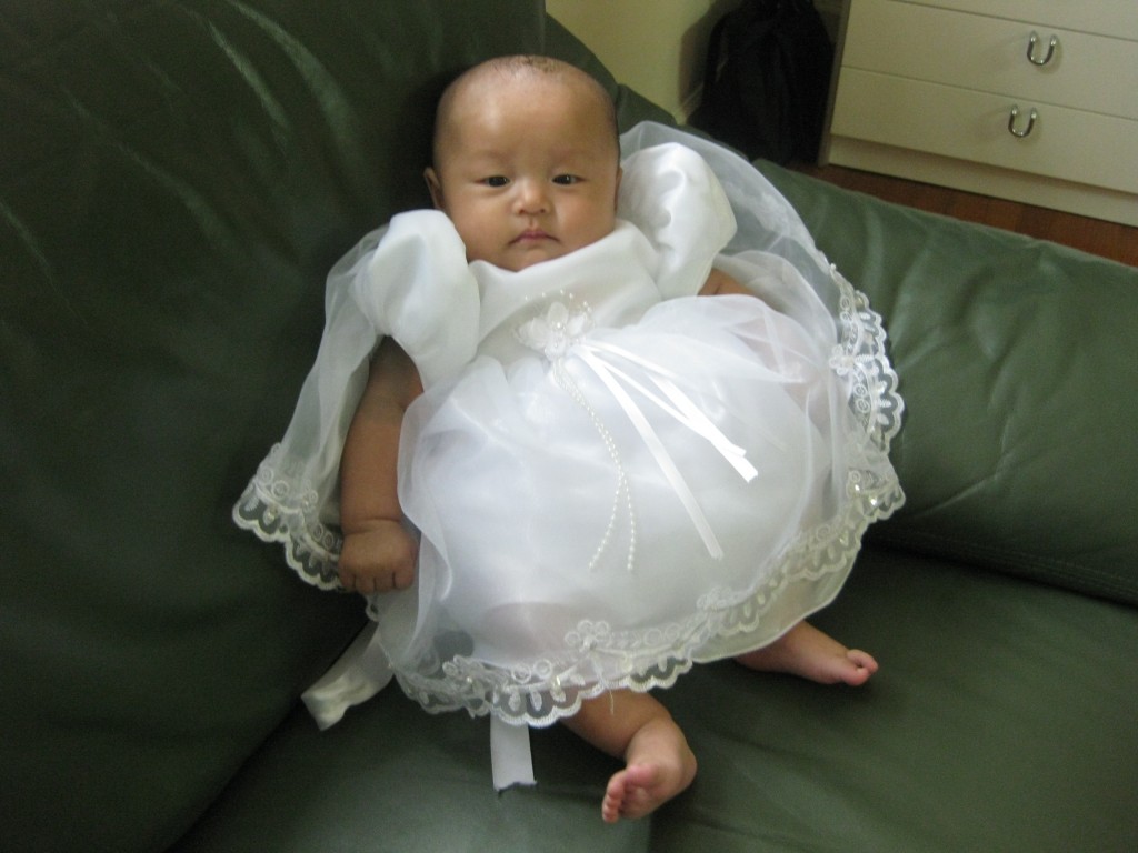 IMG_2511 IMG_2511