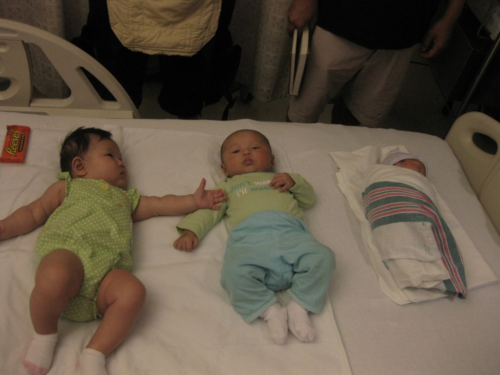 IMG_3880 IMG_3880